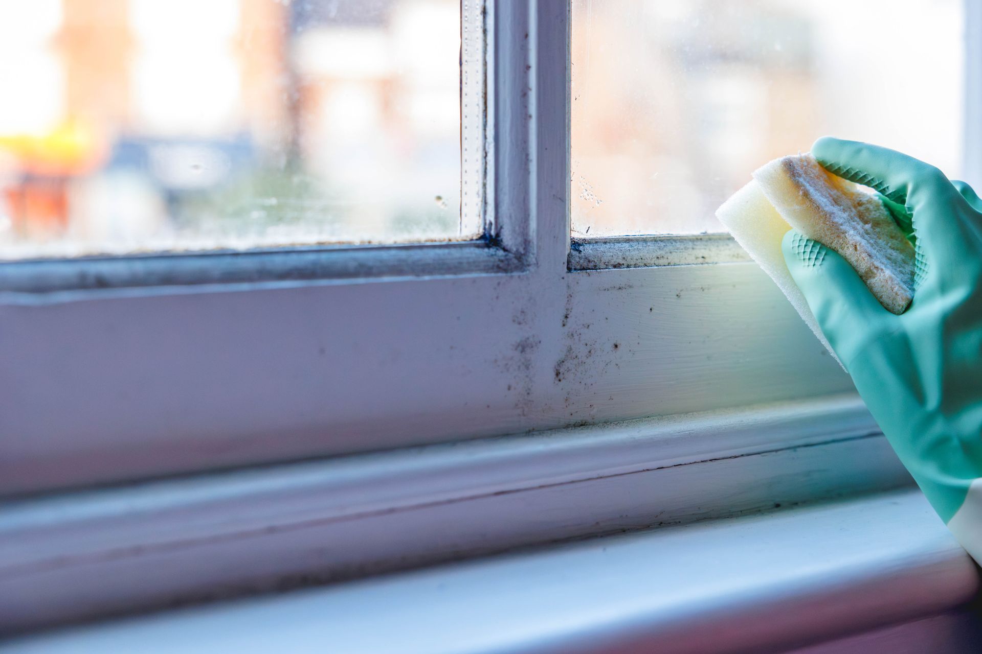 Gloved hand cleaning window frame with a sponge. Mold visible on the frame.