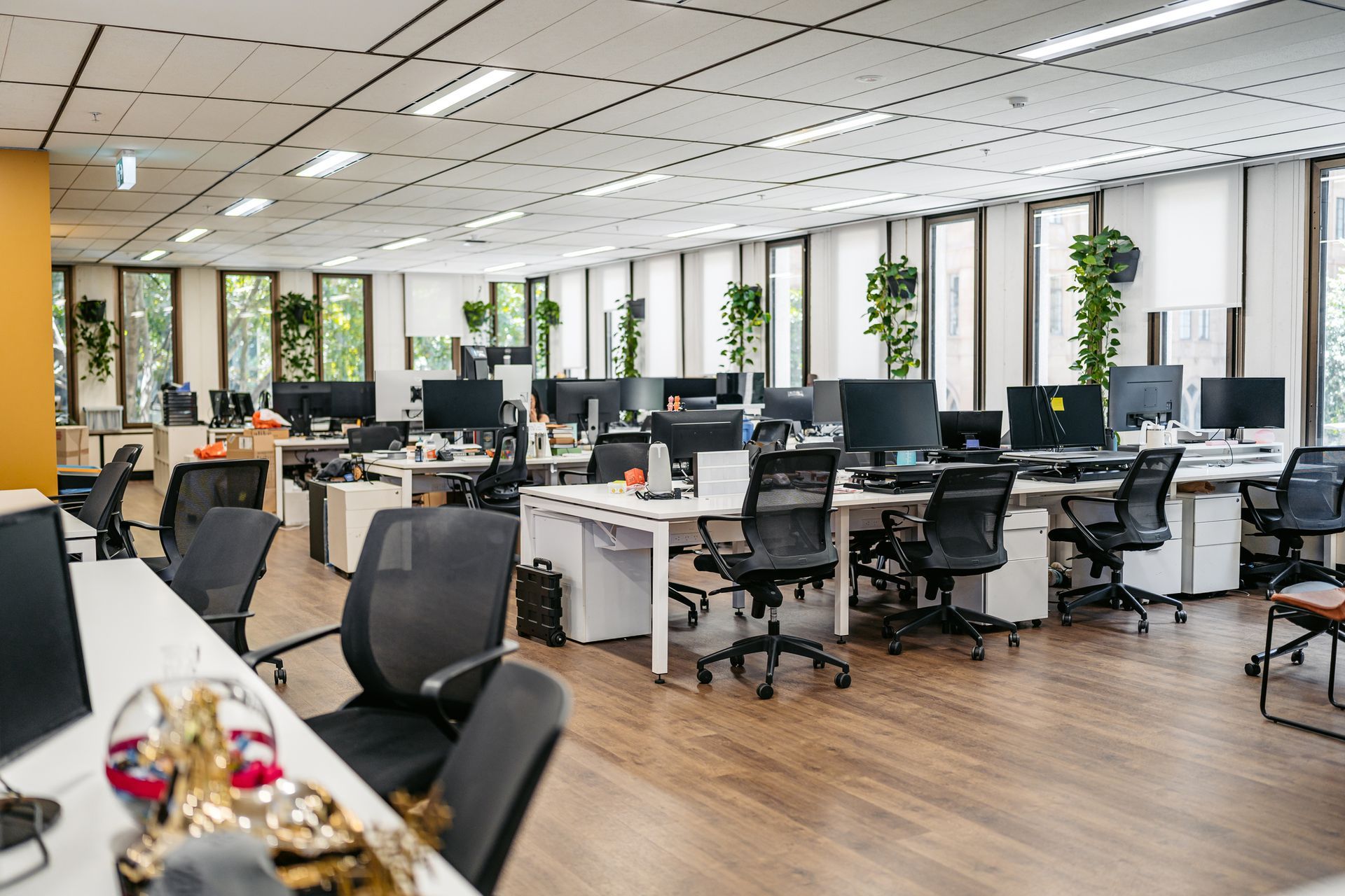 Open office with rows of white desks, black chairs, and computers. Windows with hanging plants.