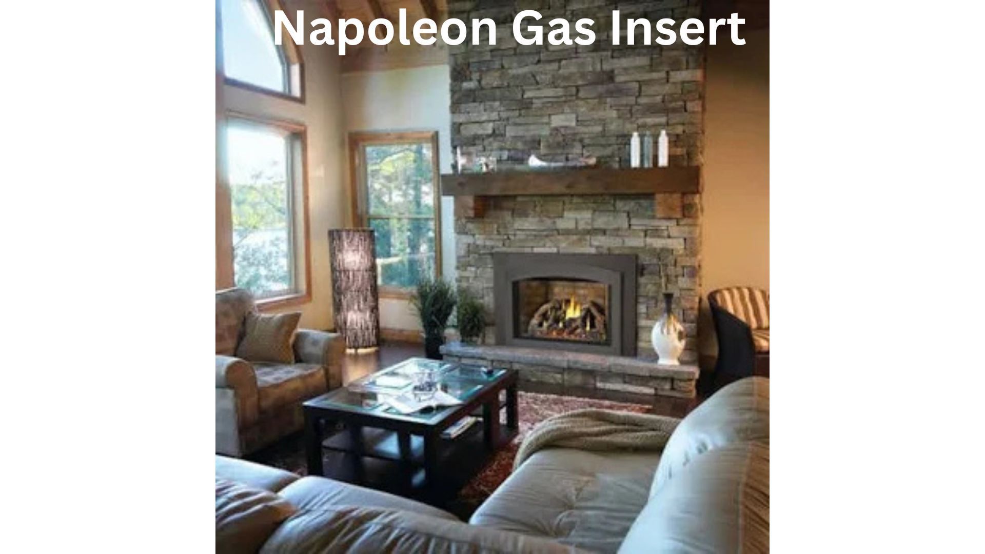 Gas fireplace insert installed inside an existing masonry fireplace in a Kentucky home