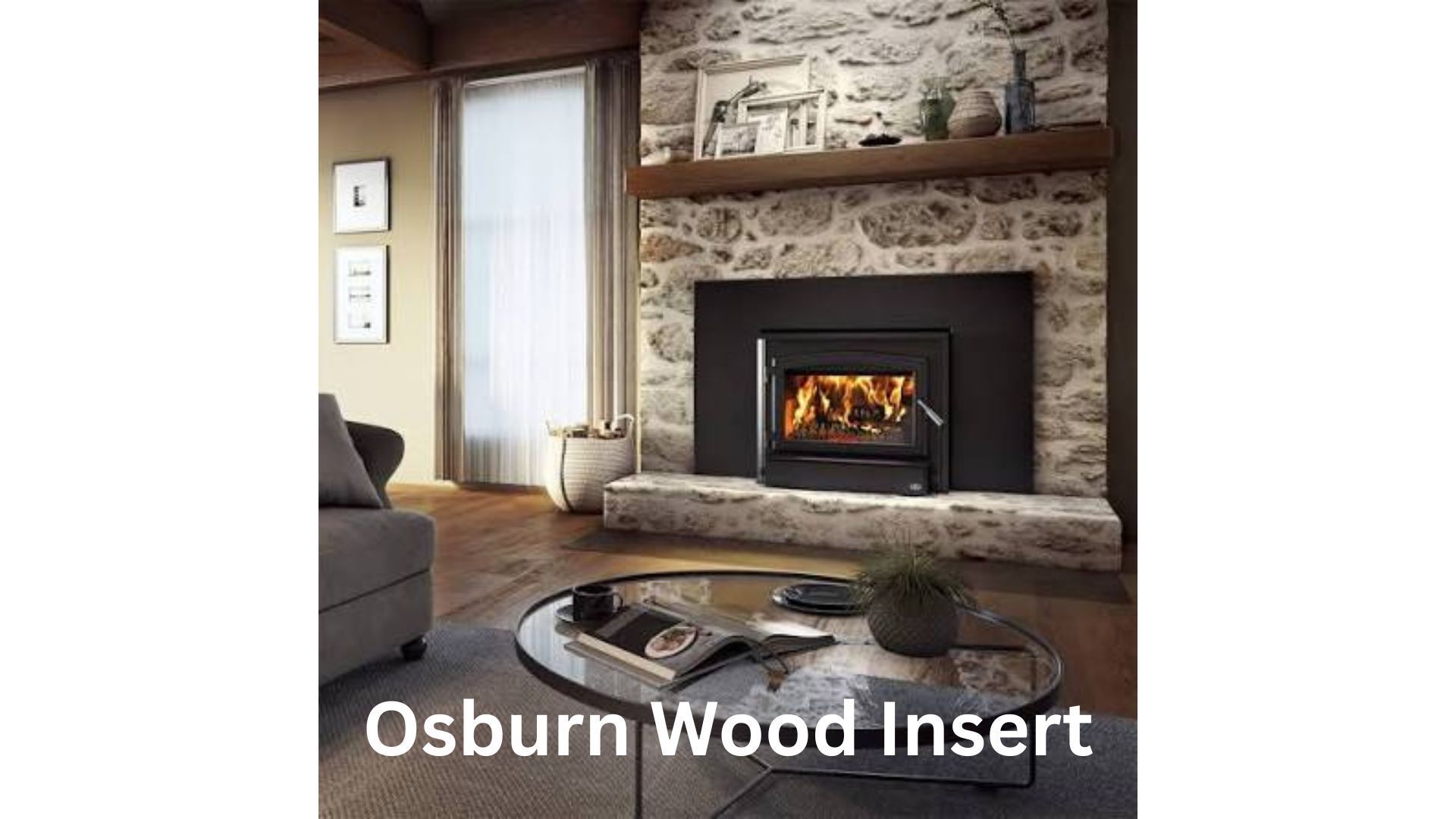 Wood-burning insert professionally installed in an existing masonry fireplace in a Kentucky home