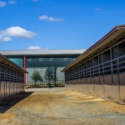 A row of horse stables with a blue sky in the background