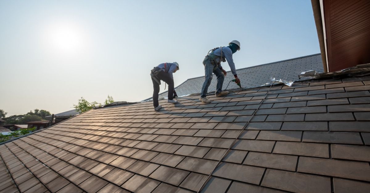 Two roofers work on a large shingled roof in bright sunlight, using safety harnesses while installing roofing materials.