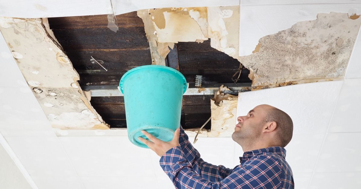 Man holds a bucket beneath a large water-damaged ceiling opening with exposed wood, stains, and mold