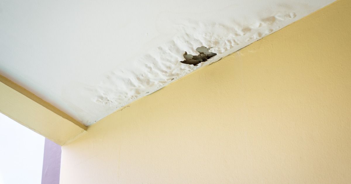 Water-damaged ceiling above a yellow wall shows bubbling paint, peeling plaster, and a hole from a possible roof leak.