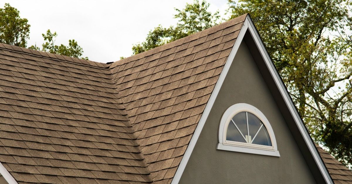 Brown asphalt shingle roof with a steep front gable, white trim, arched window, and leafy green trees in the background.