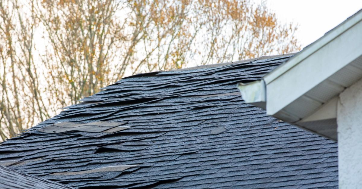 A damaged roof with shingles lifting and curling along the slope near the gutter, with trees in the background.