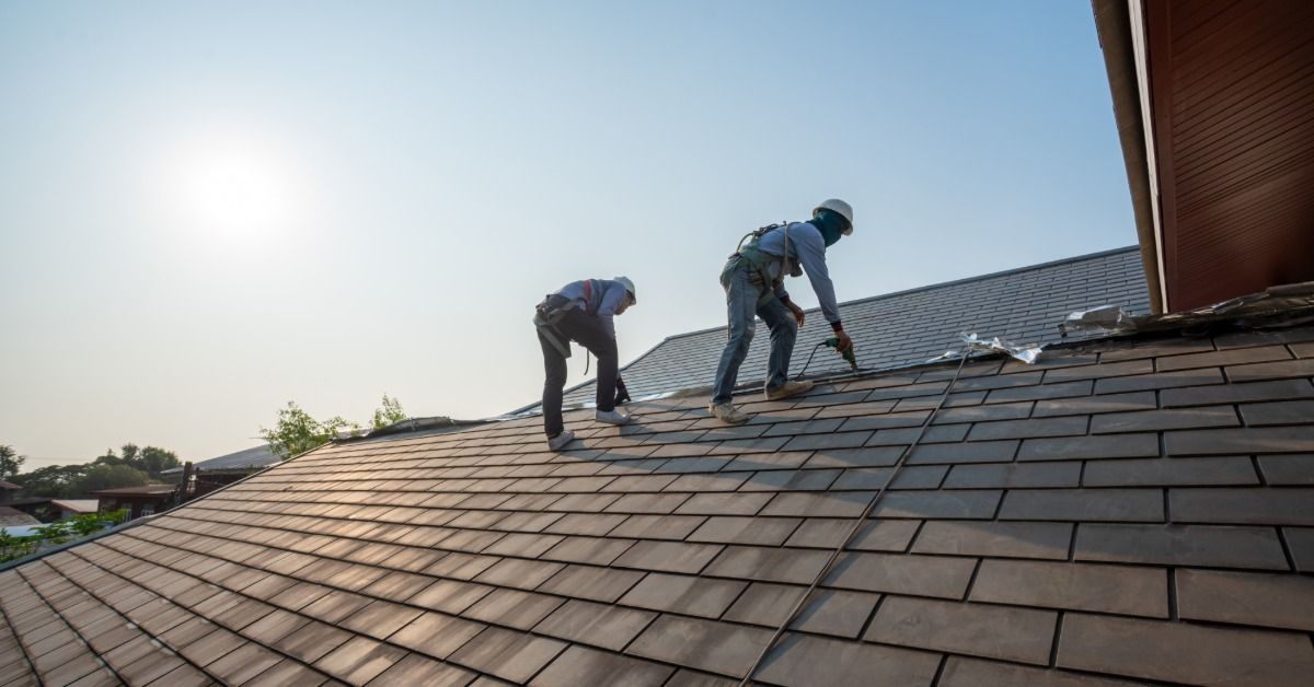 Roofers installing new shingles on a sloped roof, secured with safety harnesses under a clear sunny sky.
