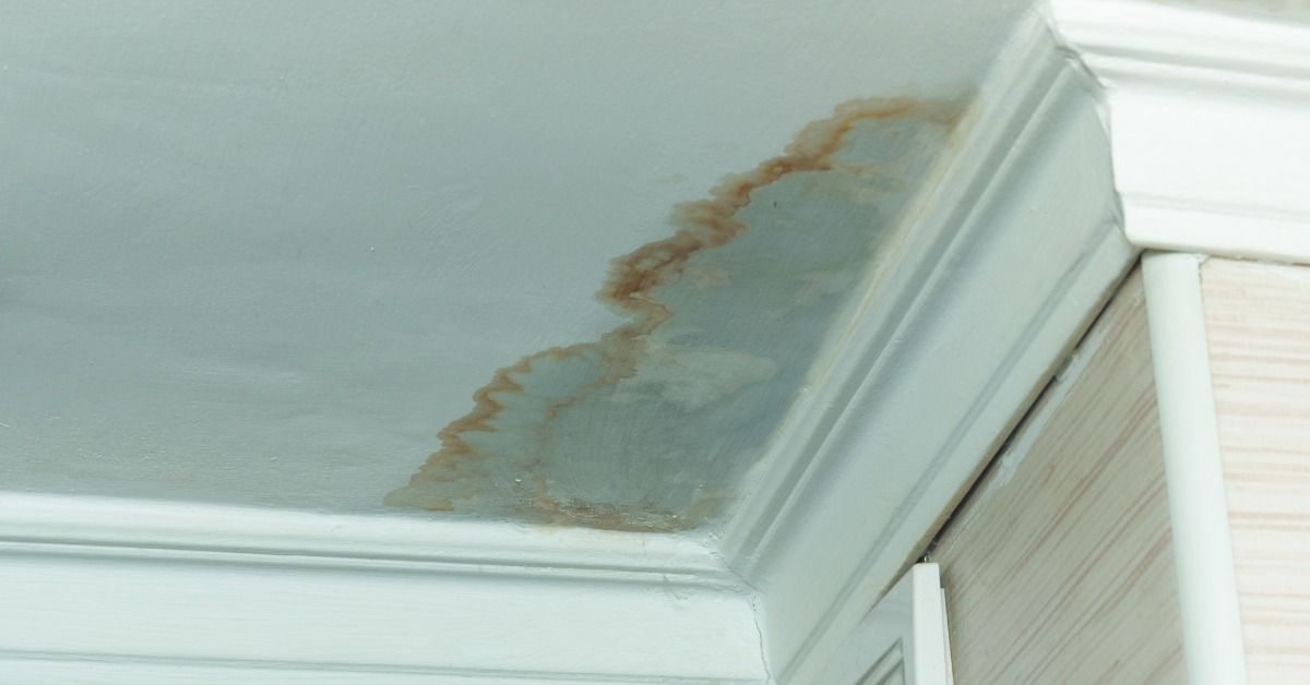 Water-stained ceiling with brown discoloration near crown molding, showing signs of a hidden roof le