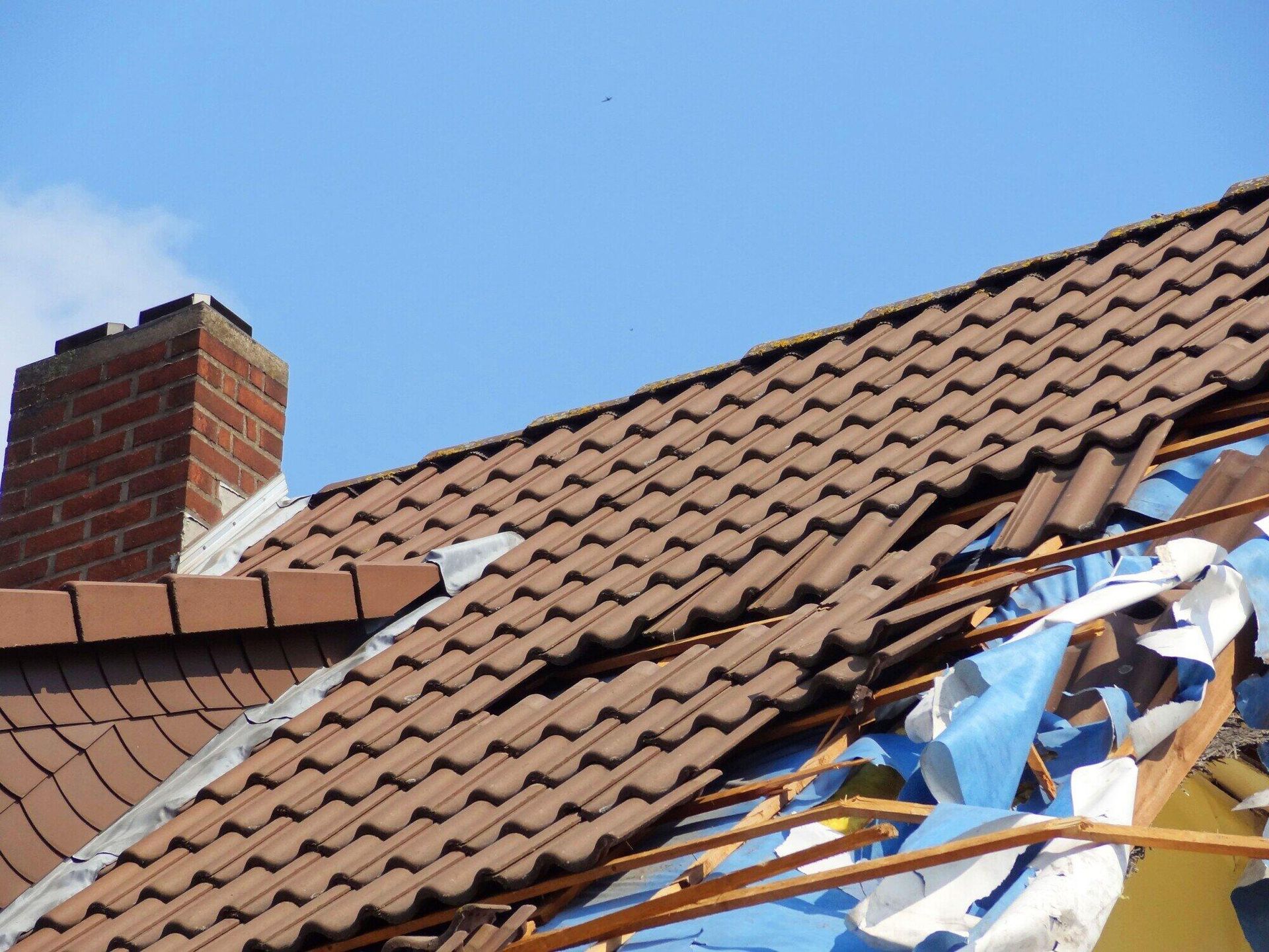 A man is standing on top of a tiled roof with a ladder.