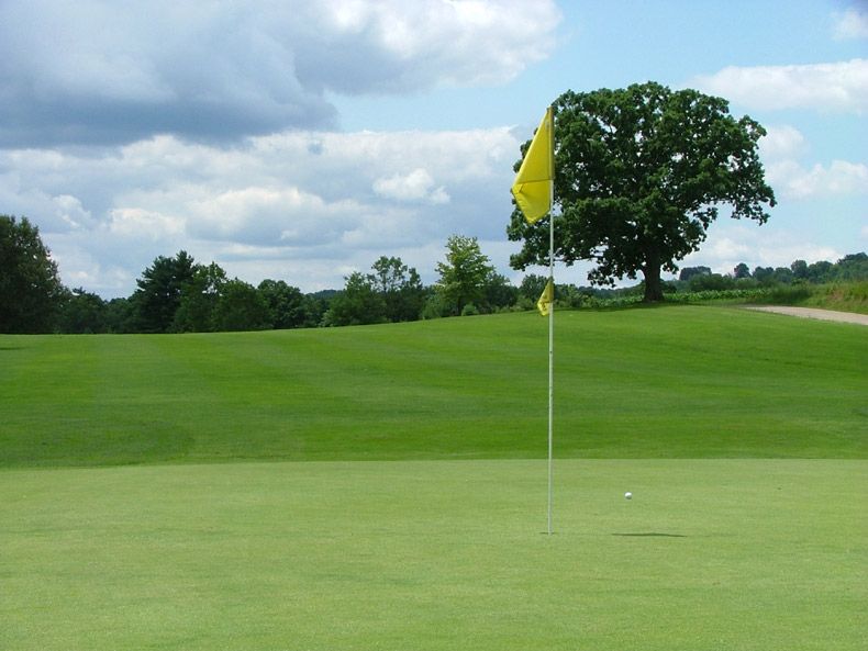 Golf green with a yellow flagstick under a cloudy sky, surrounded by rolling fairways and trees