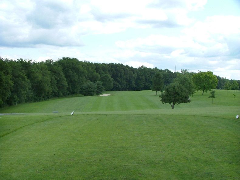 Wide green golf fairway with a lone tree and dense woods under a cloudy sky