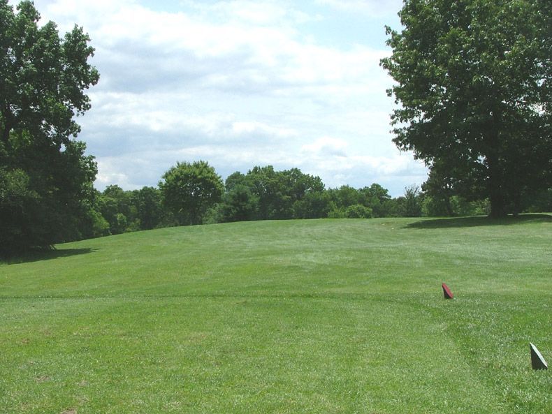 Open grassy golf fairway bordered by trees under a cloudy sky