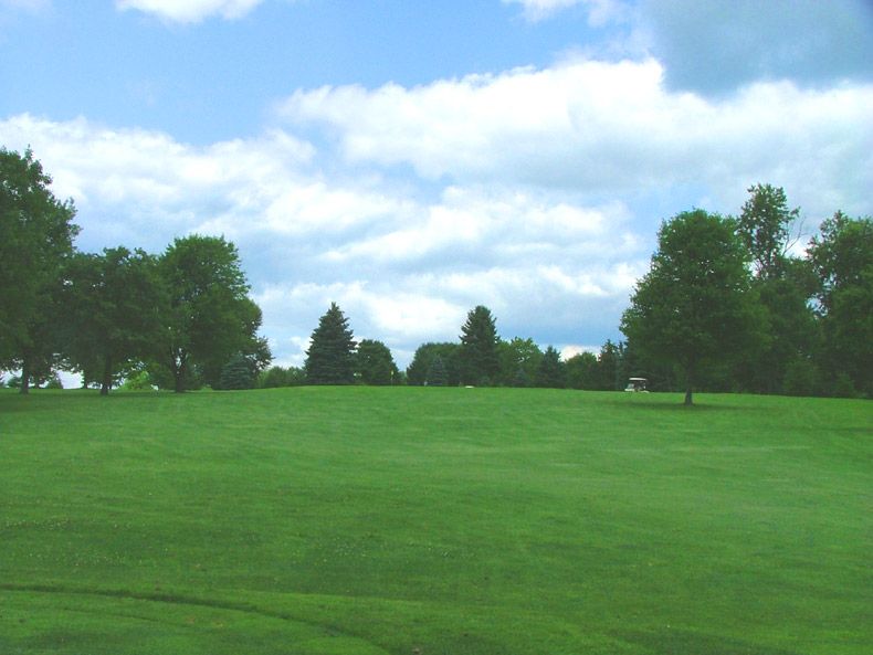 Wide green grassy field with scattered trees under a partly cloudy blue sky