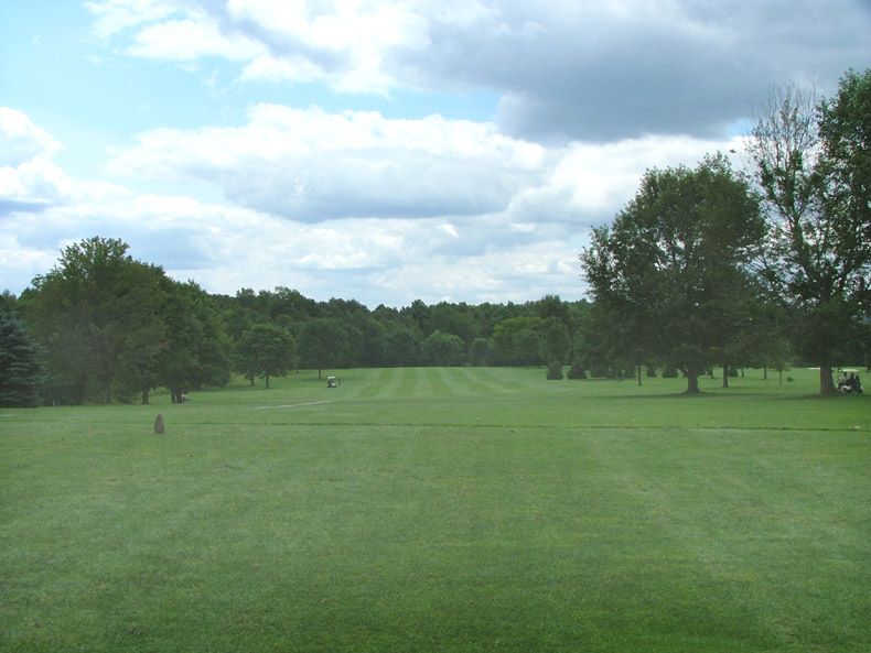 Wide green park field with trees under a cloudy blue sky