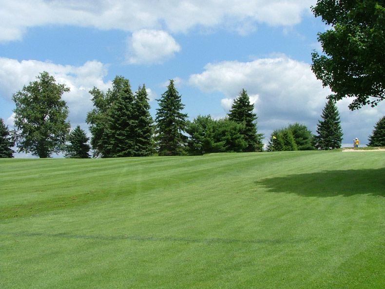 Green grassy hill with pine trees under a partly cloudy blue sky