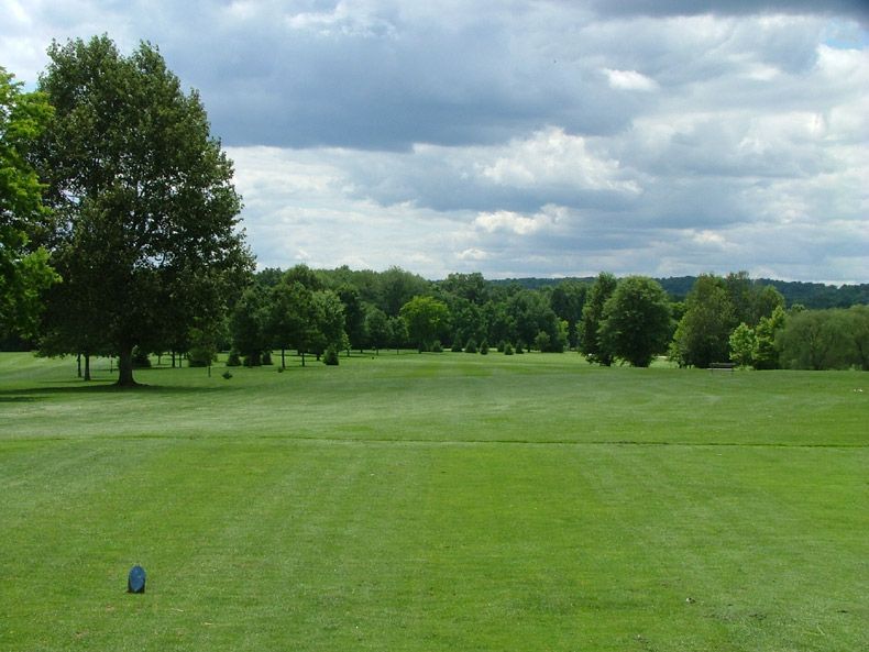 Grassy park or golf course under cloudy sky, with trees lining the horizon