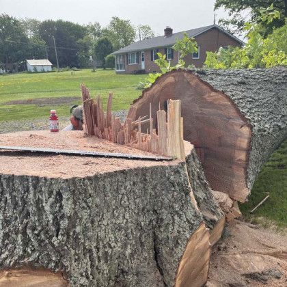 An emergency tree removal in Nanjemoy, MD by Tippett's Tree & Outdoor Services