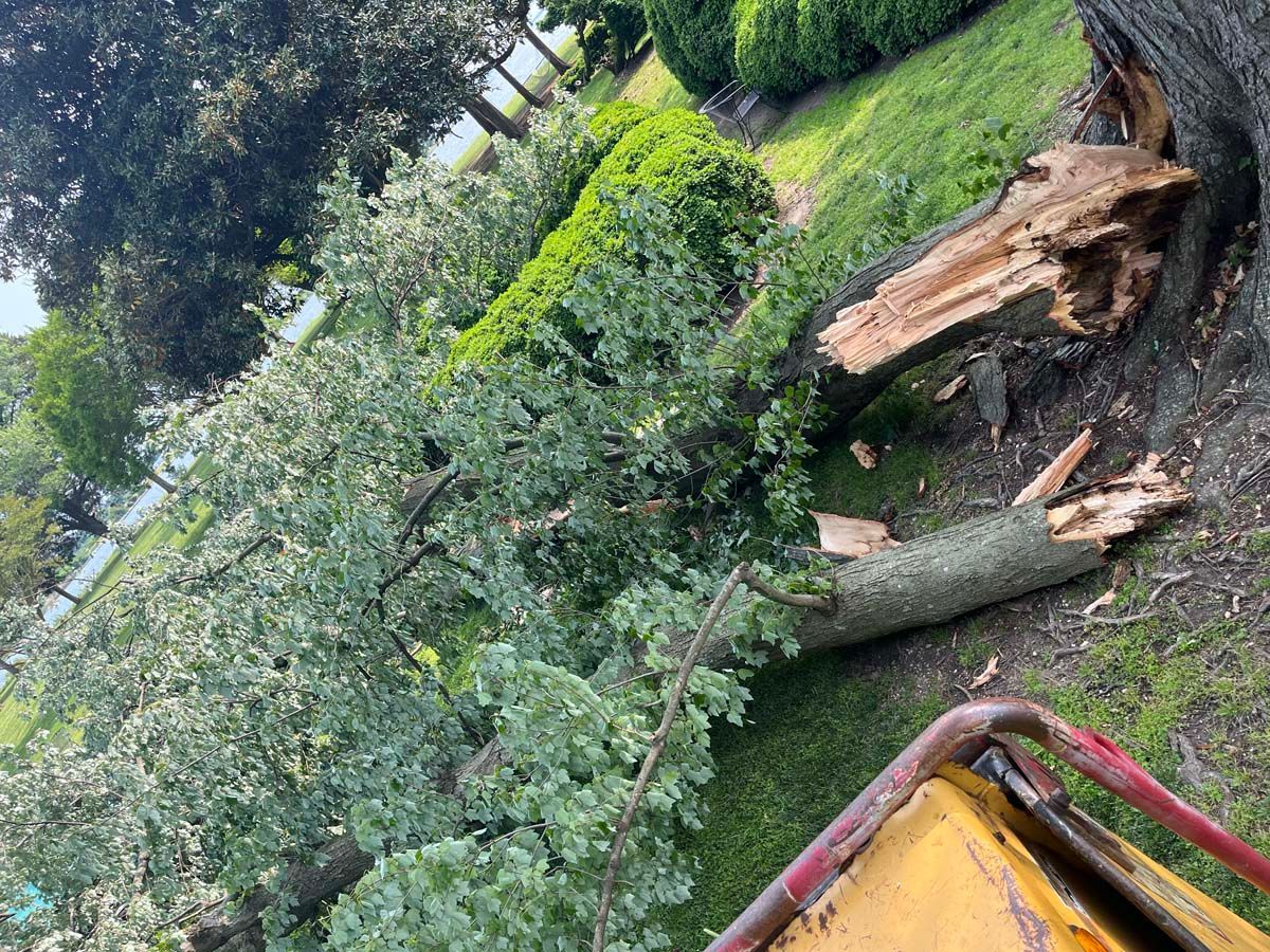 An emergency tree removal in Nanjemoy, MD by Tippett's Tree & Outdoor Services