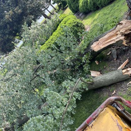 An emergency tree removal in Nanjemoy, MD by Tippett's Tree & Outdoor Services