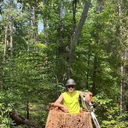 A stump grinding in Nanjemoy. MD by Tippett's Tree and Outdoor Services