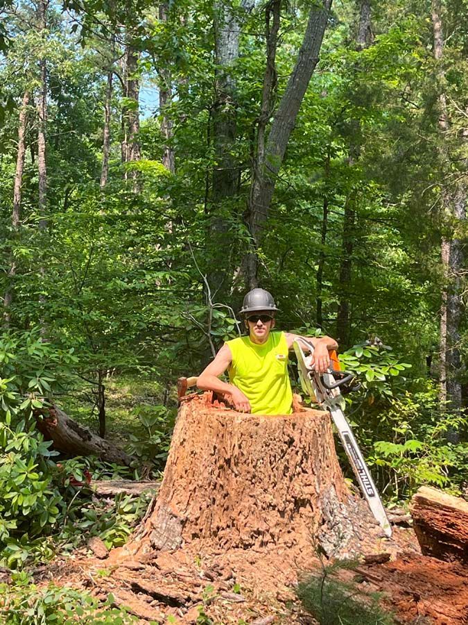 A stump grinding in Nanjemoy. MD by Tippett's Tree and Outdoor Services