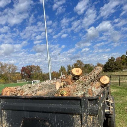 A tree removal in Nanjemoy. MD by Tippett's Tree and Outdoor Services