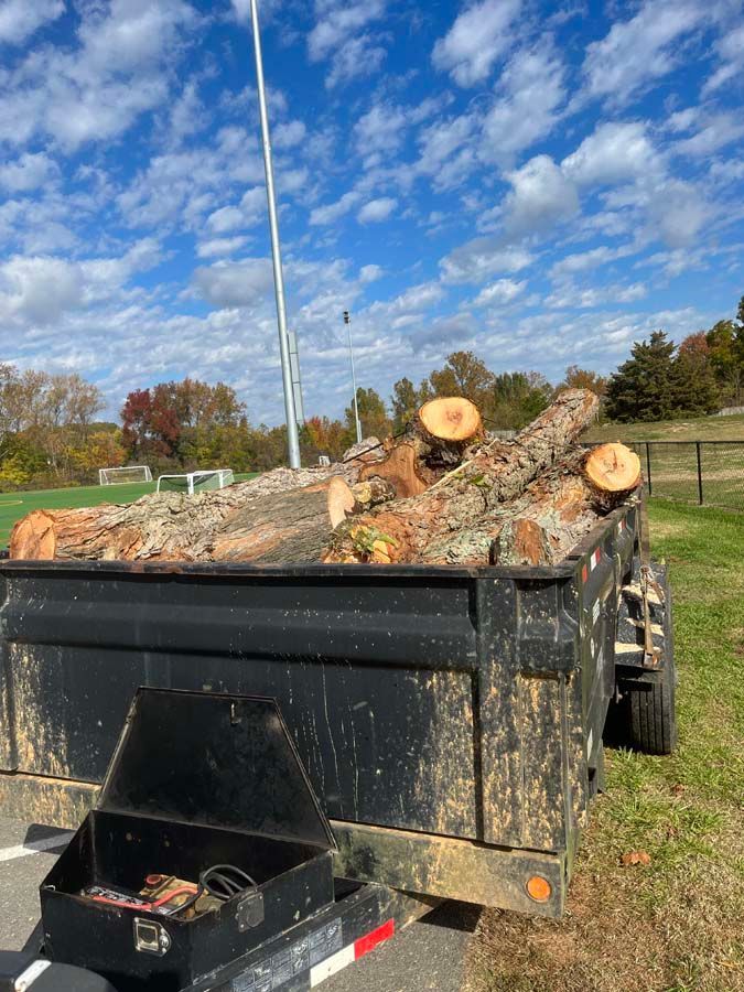 A tree removal in Nanjemoy. MD by Tippett's Tree and Outdoor Services
