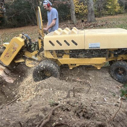 A stump grinding in Nanjemoy. MD by Tippett's Tree and Outdoor Services