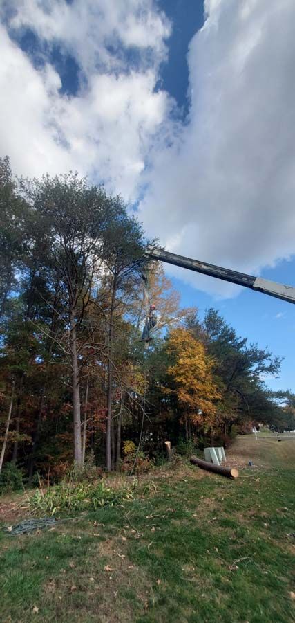 A tree removal in Nanjemoy, MD - Tippett's Tree and Outdoor Services hard at work
