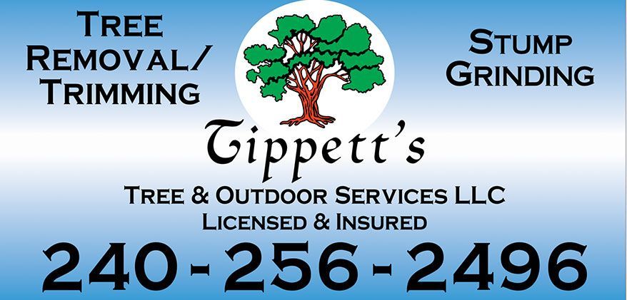 The colored logo for Tippett's Tree and Outdoor Service in Nanjemoy, MD The colored logo for Tippett's Tree and Outdoor Service in Nanjemoy, MD