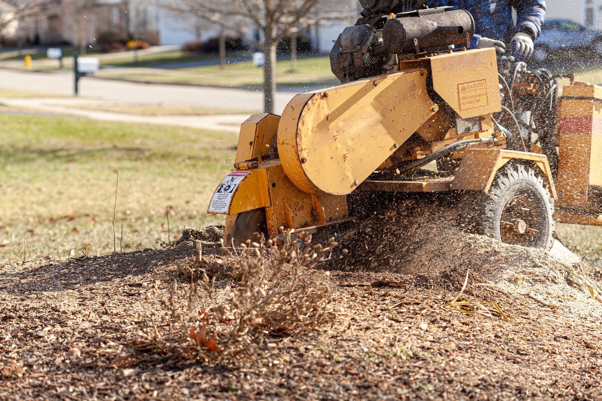 A stump grinding in Nanjemoy. MD by Tippett's Tree and Outdoor Services