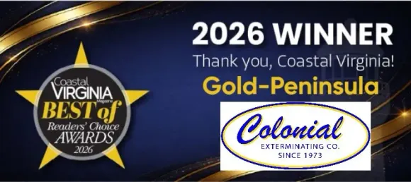 2026 winner Gold-Peninsula award graphic with Coastal Virginia and Colonial logos on a dark blue background 2026 winner Gold-Peninsula award graphic with Coastal Virginia and Colonial logos on a dark blue background