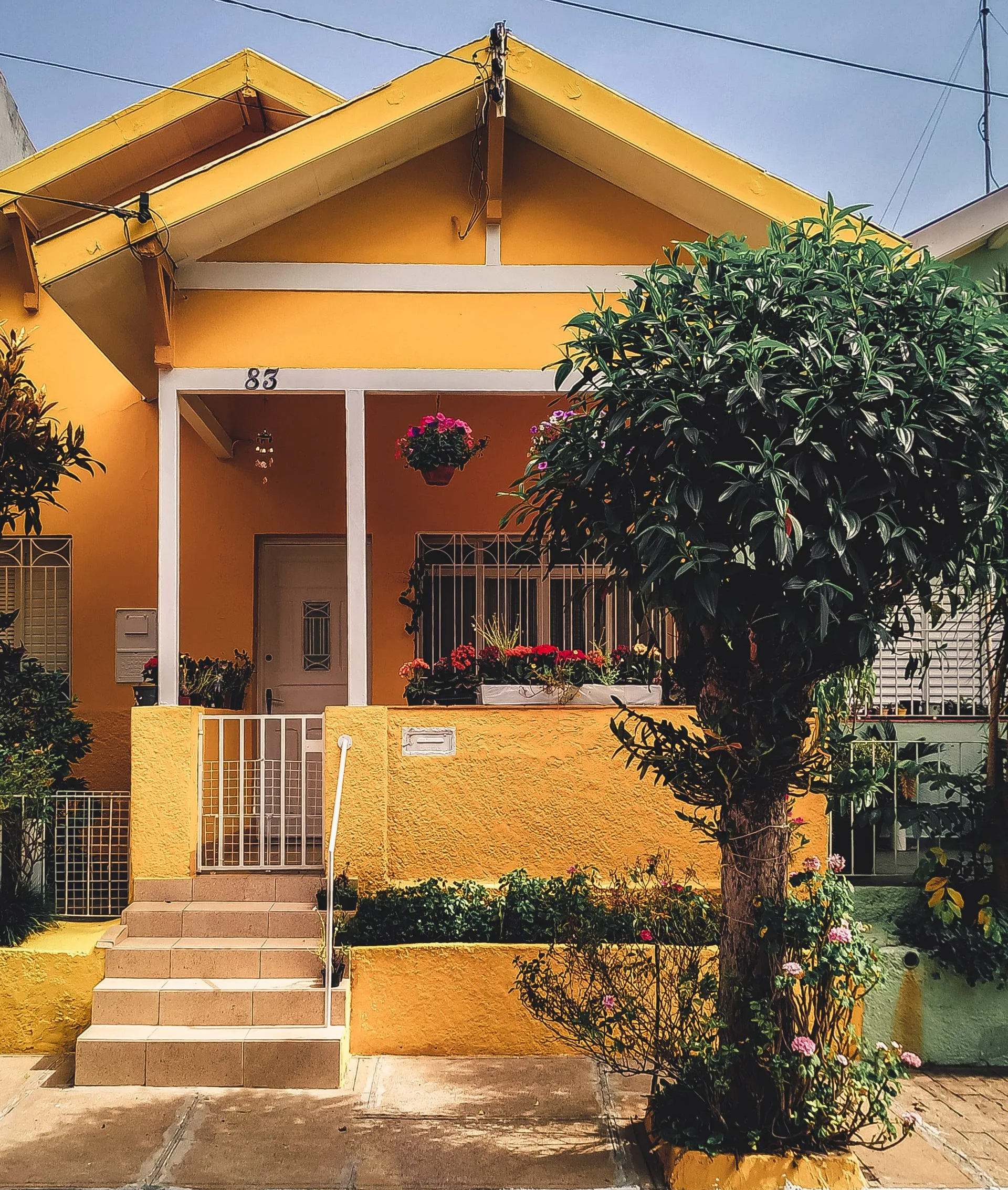 Residential House near the garden area