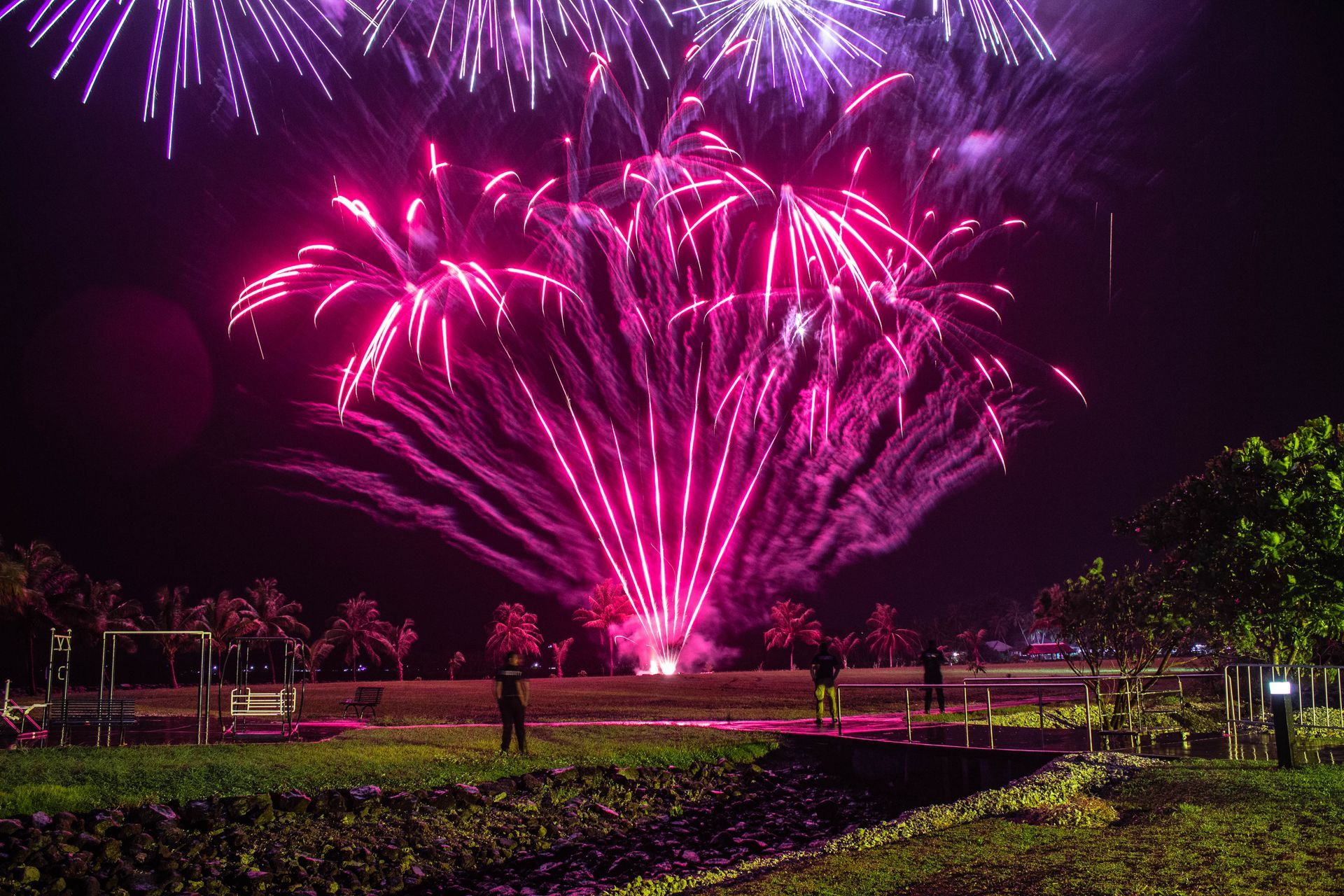 People are watching a fireworks display in the night sky