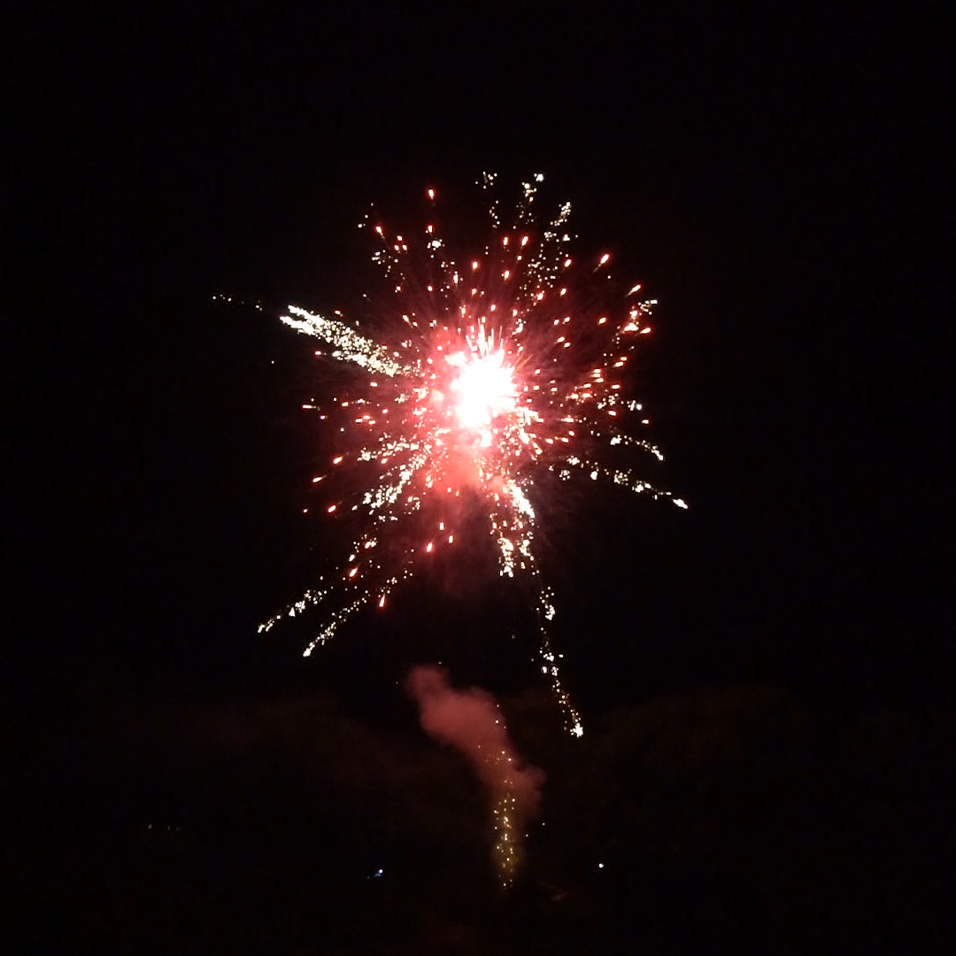 A fireworks display is going off in the night sky