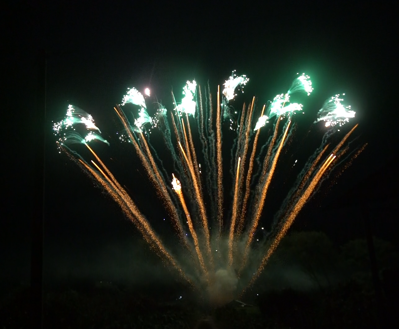 Green and gold fireworks are exploding in the night sky