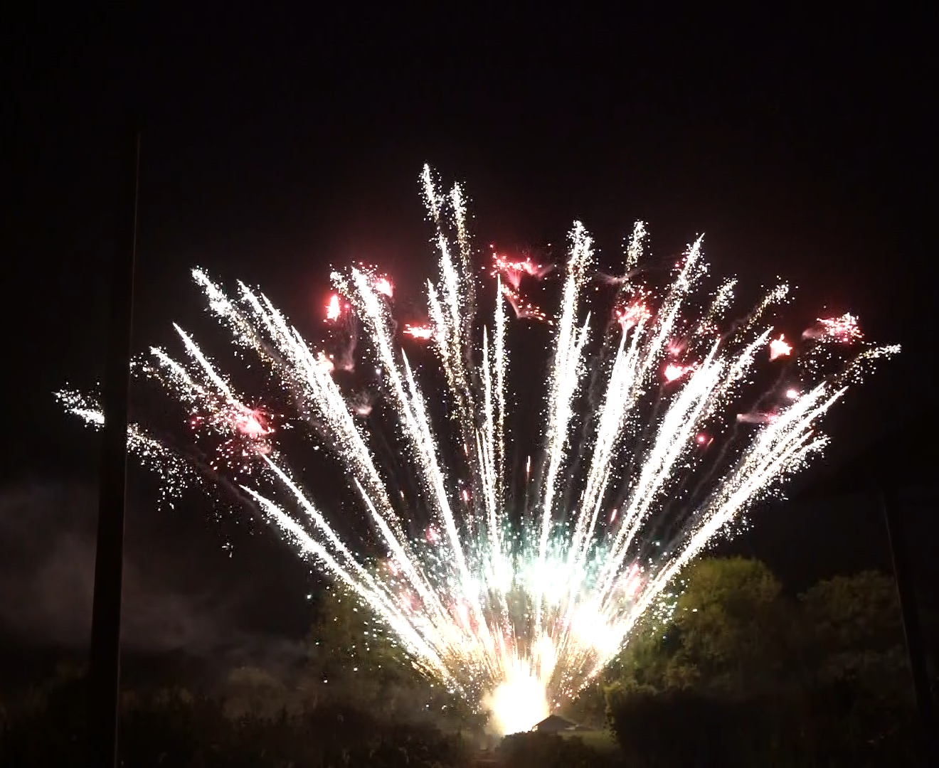 A fireworks display is going off in the night sky