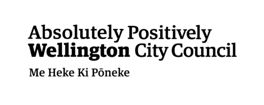 wellington city fireworks preferred provider