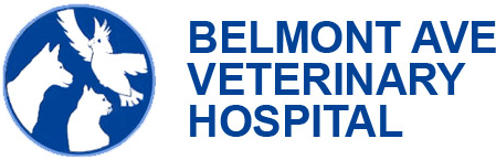 Belmont Avenue Veterinary Hospital Belmont Avenue Veterinary Hospital LOGO