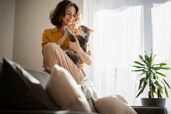 Woman holding a cat by a bright window, with a sofa and potted plant nearby
