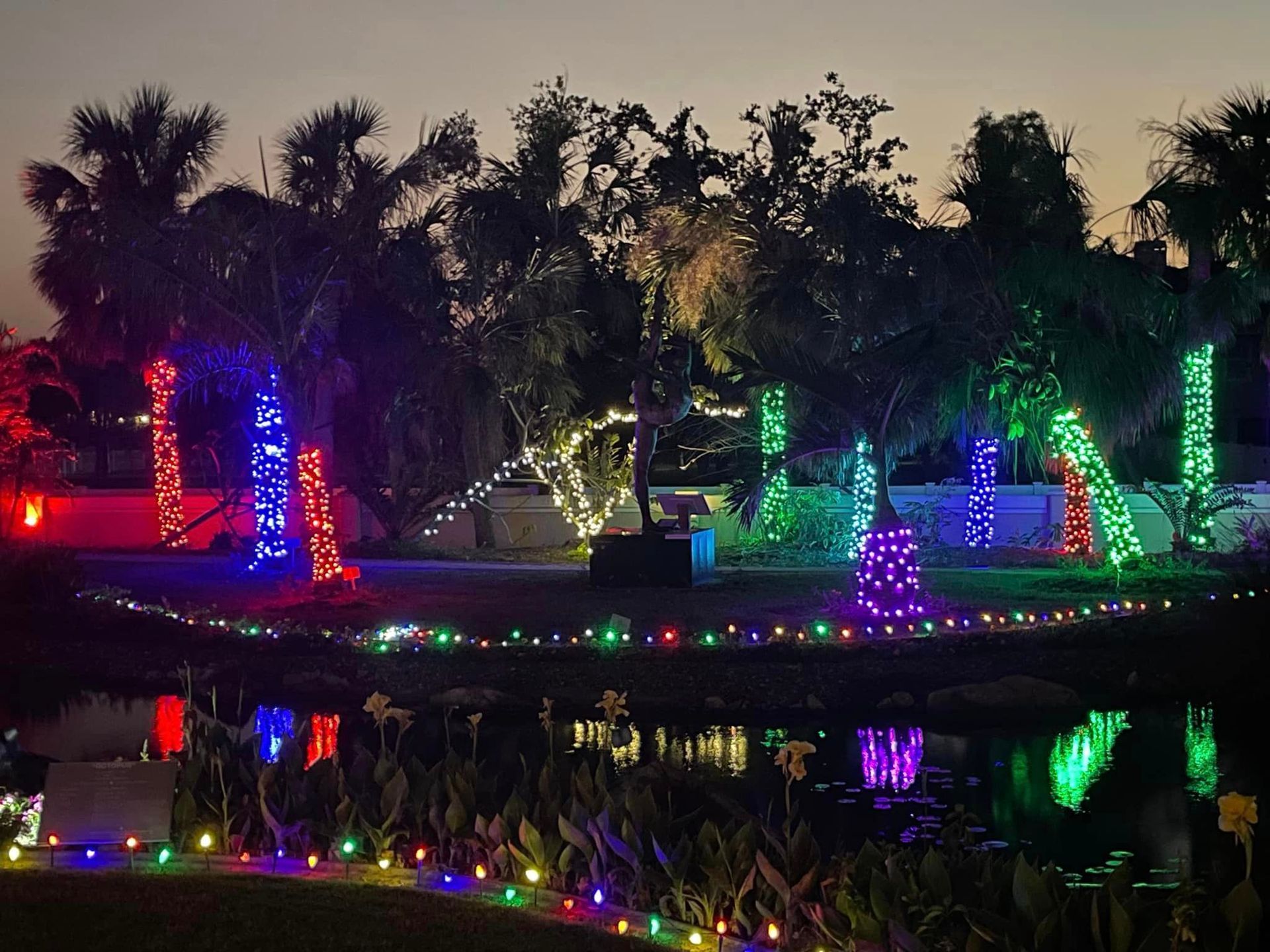 christmas lights in the park