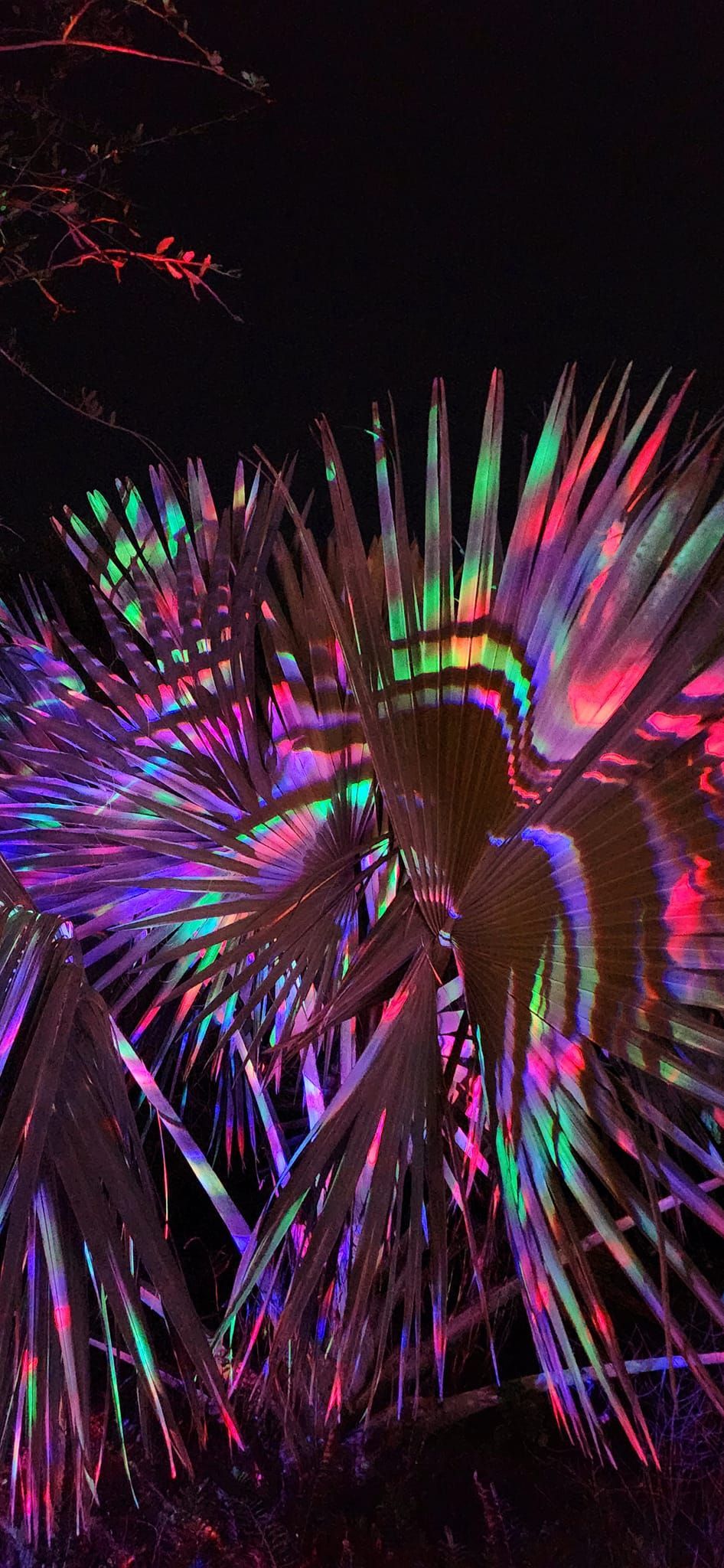 gardens aglow vibe