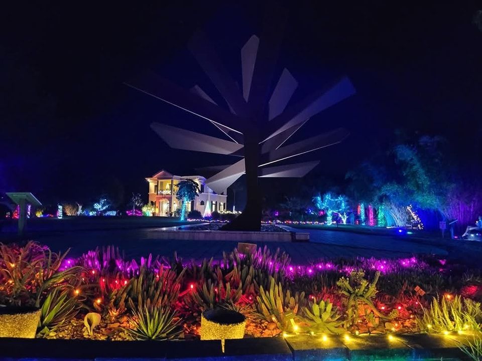 steel palm aglow
