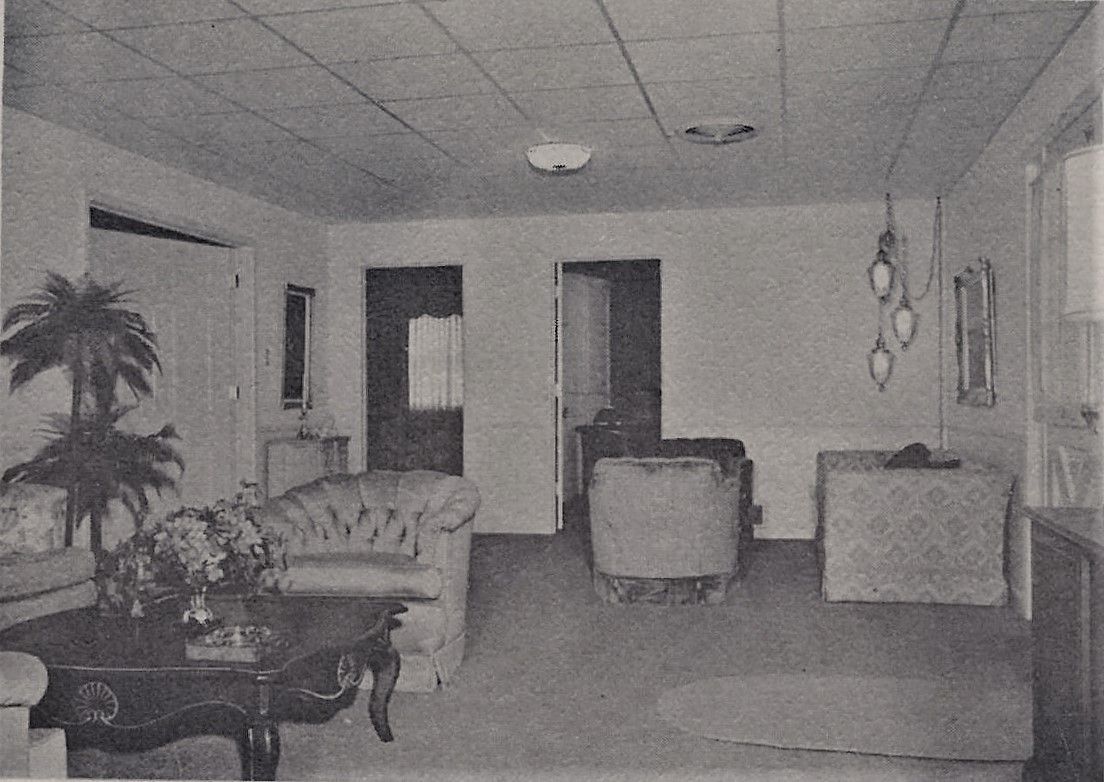 Empty living room with sofa, chairs, plants, and a fireplace in grayscale.