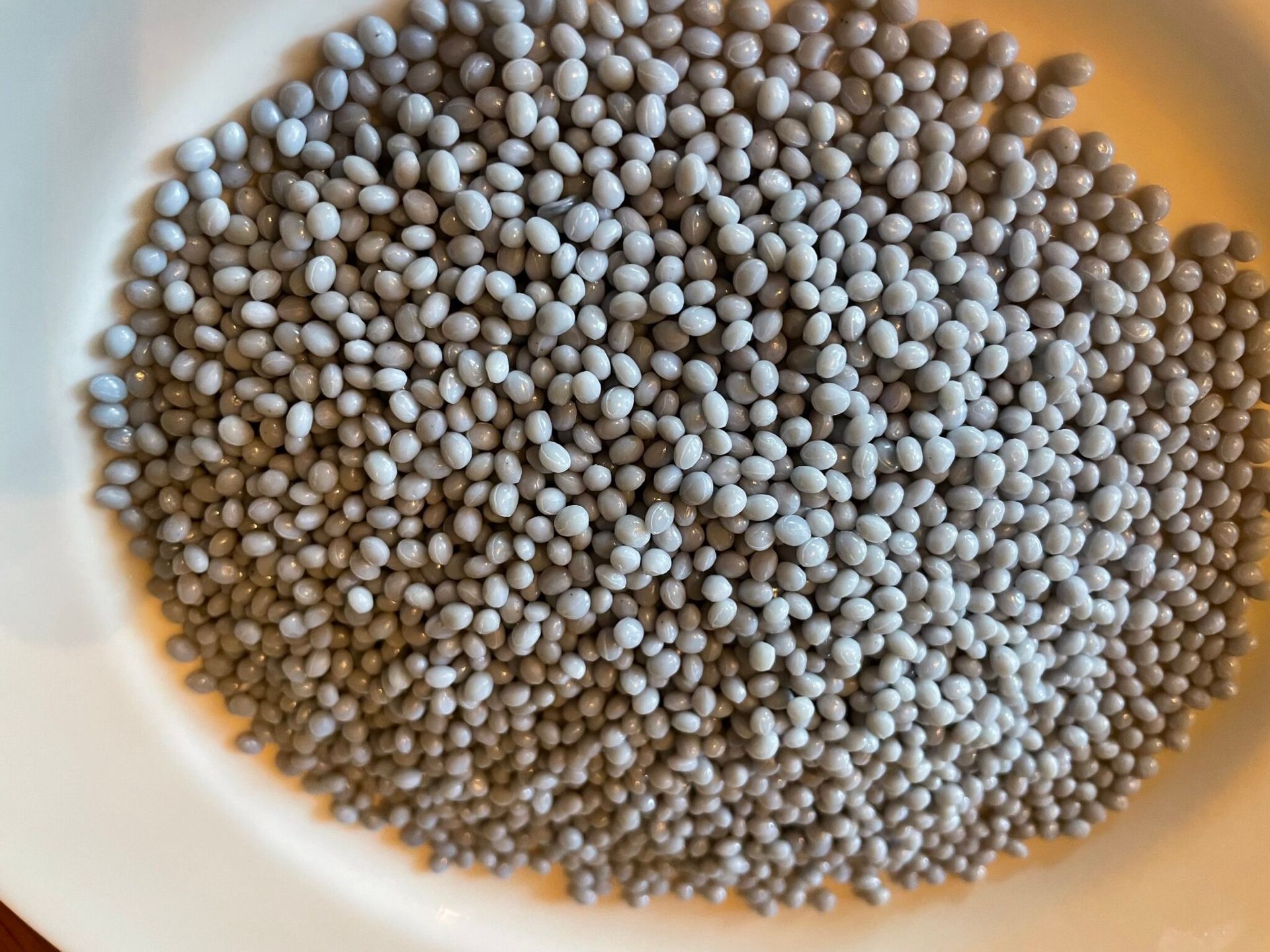 A close-up of a white bowl filled with small, oval, gray beads.
