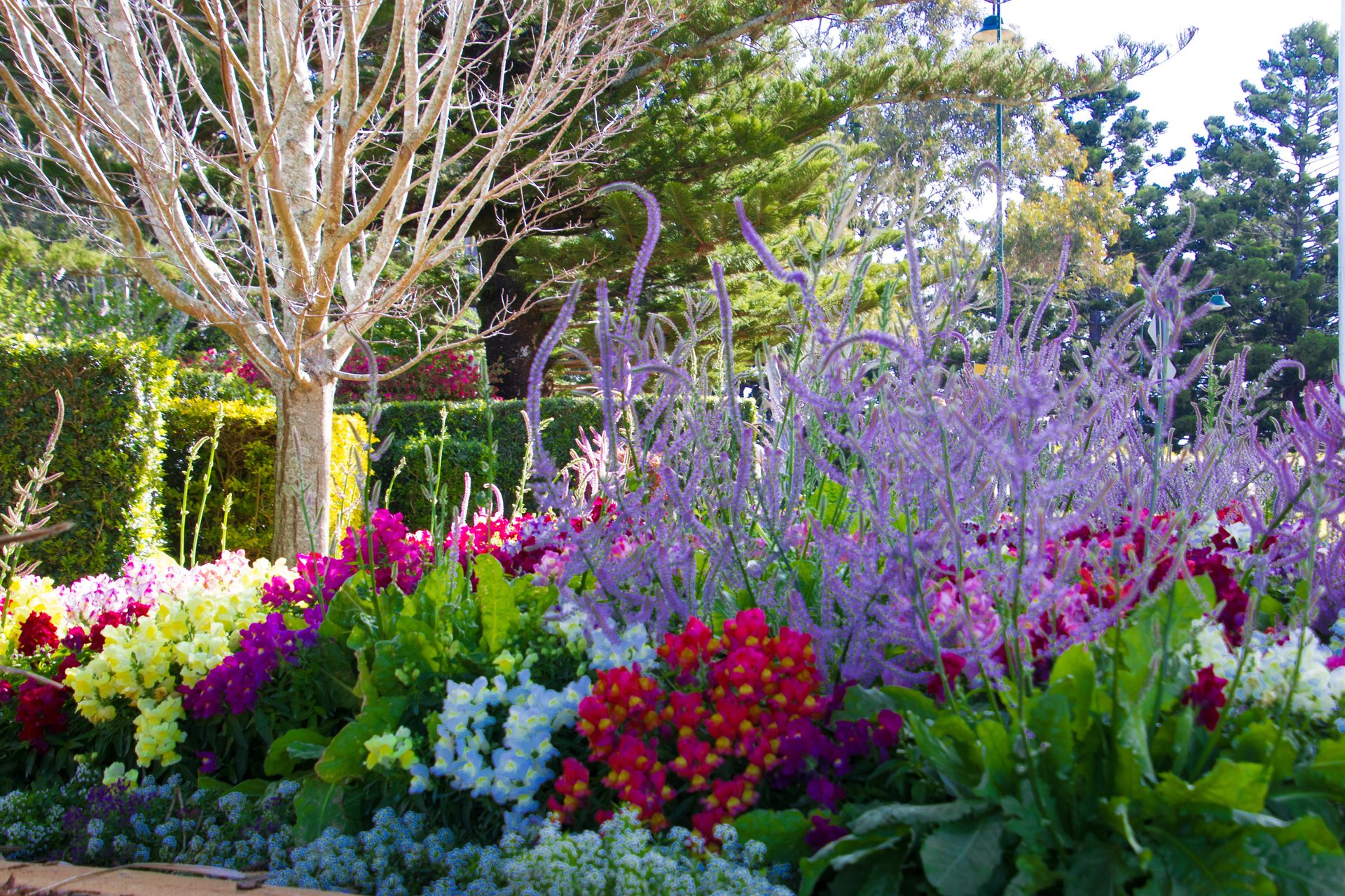 Live Toowoomba | Fun in Toowoomba | Tourism & Events