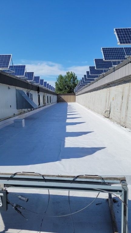 Toit recouvert de panneaux solaires ; ciel d'un bleu éclatant au-dessus. Toit plat blanc avec un arbre au centre.