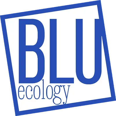Logo per BLU ecology, con testo blu all'interno di un quadrato blu inclinato.