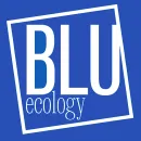 Logo blu: 