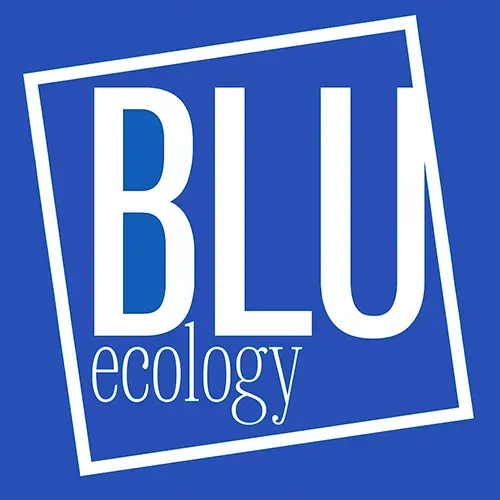 Logo blu: 